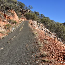 Looking up on the single track on the way to the top of Mount Oxley
