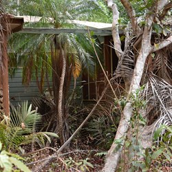 Nature is slowly reclaiming the Old Pajinka Wilderness Lodge