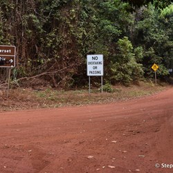 Dense Tropical Jungle at the Somerset turn off