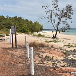 Turtle nesting beach in the Muttee Head area