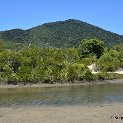 Exploring more great lonely beaches around Cooktown