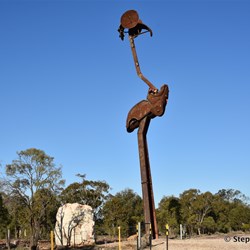 Stanley the Emu on the way to Lightning Ridge 