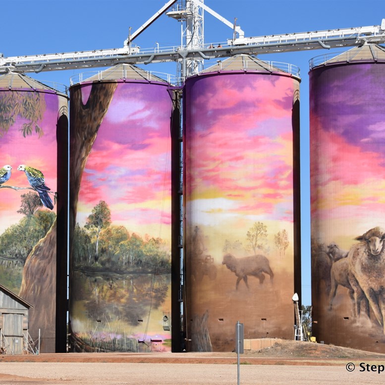 We could not go past the 40km detour to see the new Thallon Silo Art