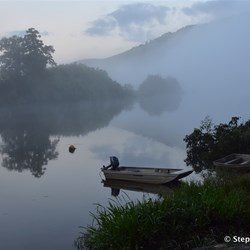 Very heavy fog next morning over the Daintree River