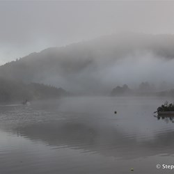 Thick fog over the Daintree River
