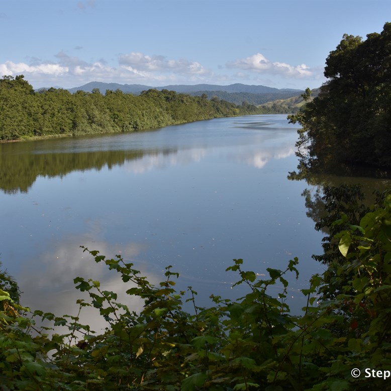Humbug Reach overlooking the Daintree River