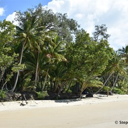 We stopped and gave the boys a good run at Cow Beach