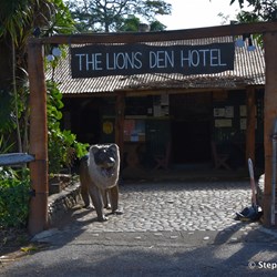 You can not drive past the famous Lions Den Hotel
