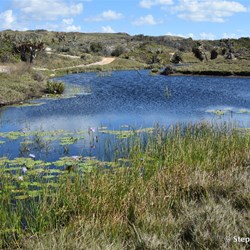 Heading out to Cape Bedford South
