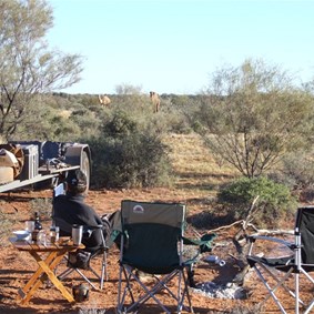 Scotty getting up close with our visitors