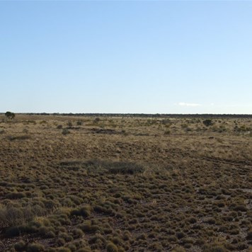 The Northern Airstrip - Hunt Oil Road