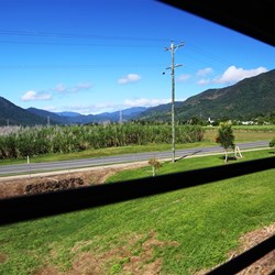 Rolling through the canefields