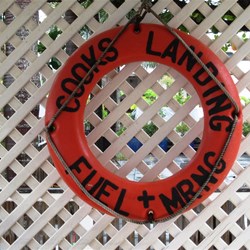 Takeaway coffees and sandwiches for lunch from Cooks Landing