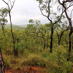 The view from one of the many hilltops