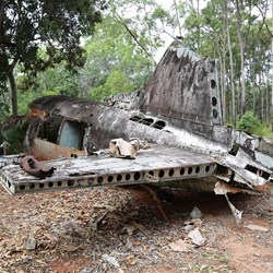 The wrecked DC-3 in the jungle