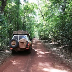 The track narrows as the jungle thickens