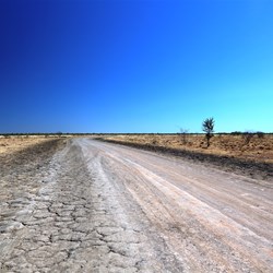 The detour was actually a pretty decent road ...