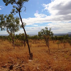 The view east from Pentecost Range