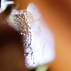 The crack has worked its way around to the top of the axle housing