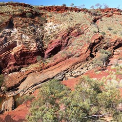 Hamersley Gorge