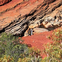 Hamersley Gorge