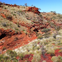 Hamersley Gorge