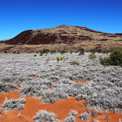 Back on Giles Mulga Park Road, which is actually part of Len Beadell's Gunbarrel Highway