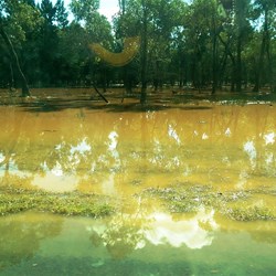 Standing water beside the Barrier Highway.