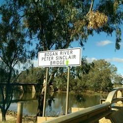 The Beardies' spiritual home.