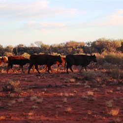 Our breakfast guests