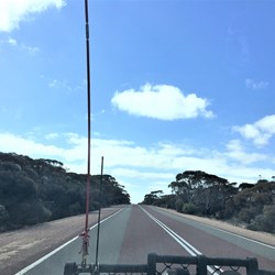 On the Eyre Highway near Poochera