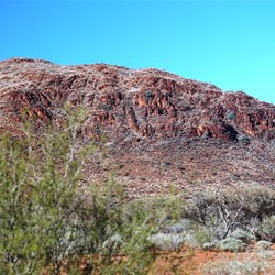 Musgrave Ranges