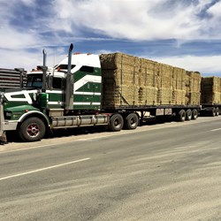 Hay truck in Yunta