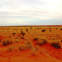 Looking back to Old Anado Station