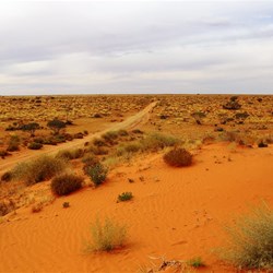 The clay-topped track from Dalhousie to the Rig Road turnoff