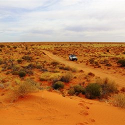 The view west from the first Simpson Desert dune