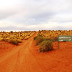 Looking east down the French Line.  It gets a lot worse from here