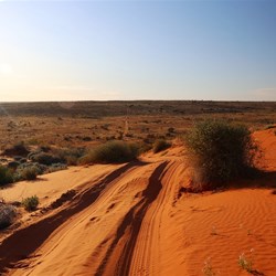 Cross a dune and the track just keeps on going