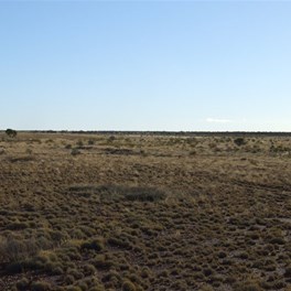 The Northern Airstrip - Hunt Oil Road