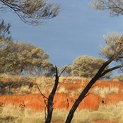 Red Ridge Roadside camp