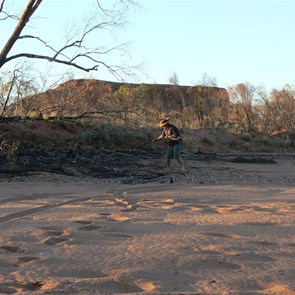 And not to far to walk for timber 