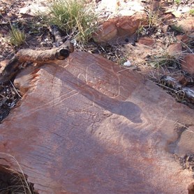 Turtle Petroglyph