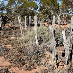 Remains of old stockyards at the site of the original Old Gluepot Station
