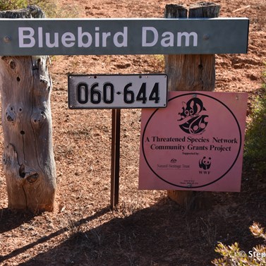 Site of the former Bluebird Dam