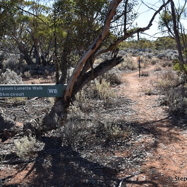 Walking trails in the Reserve as well signposted 