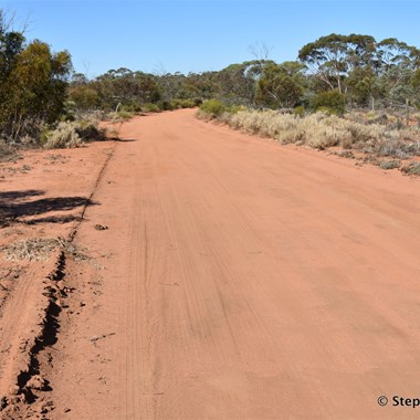 Road conditions heading to Gluepot Reserve