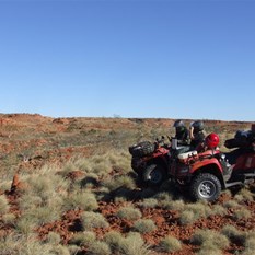 Scouting the route ahead