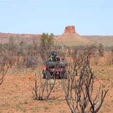 Negotiating the burnt scrub