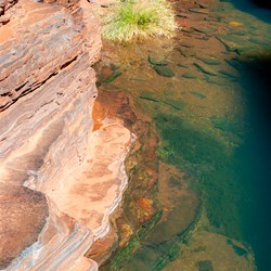 The green pool at Knox