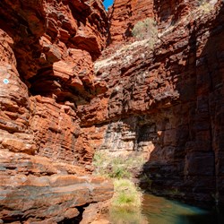 The green pool at Knox